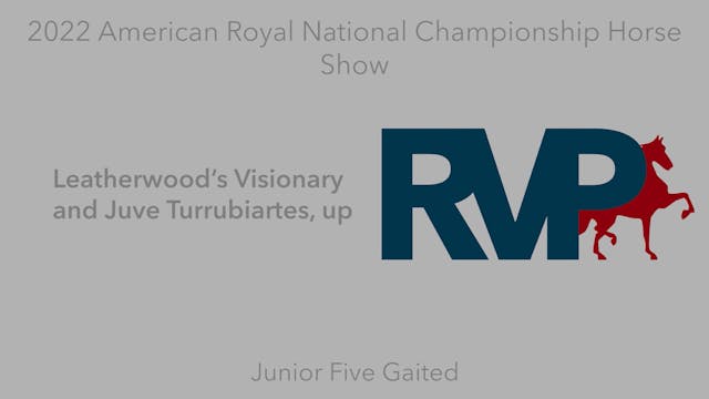AR22 - Class 100 - Leatherwood’s Visi...