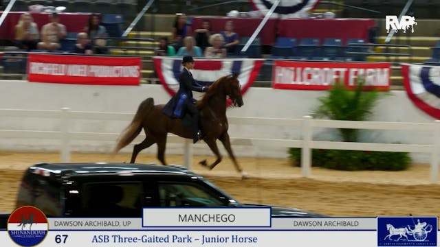 SC25 - Class 67 - Manchego and Dawson...