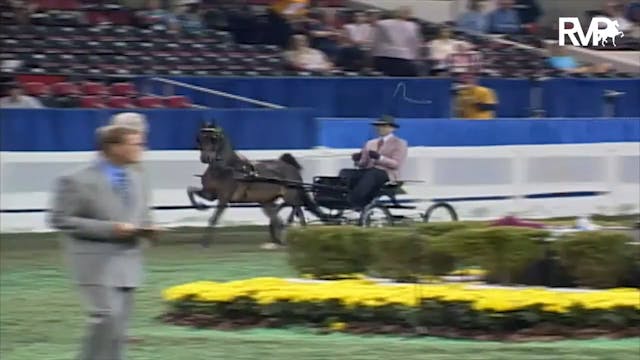 2003 WCHS Class 69 Amateur Gentlemen'...