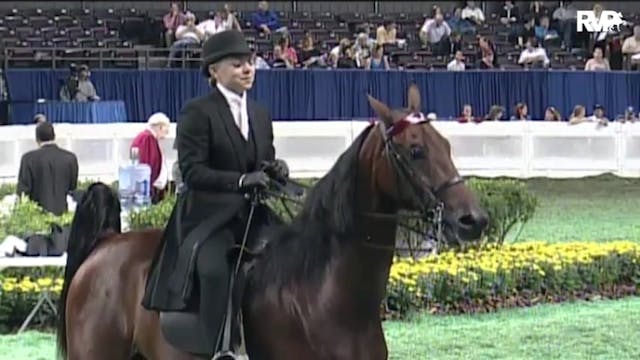 2010 World's Championship Horse Show ...