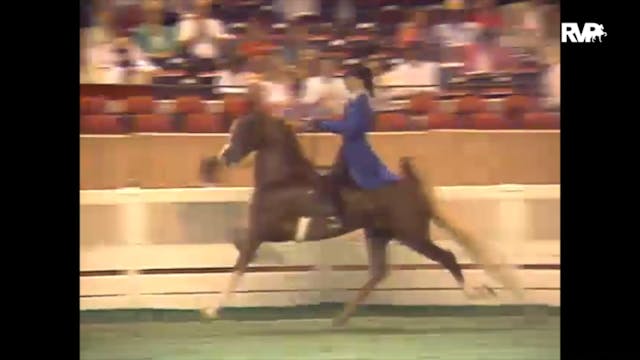 1989 WCHS Class 31 Amateur Five Gaite...