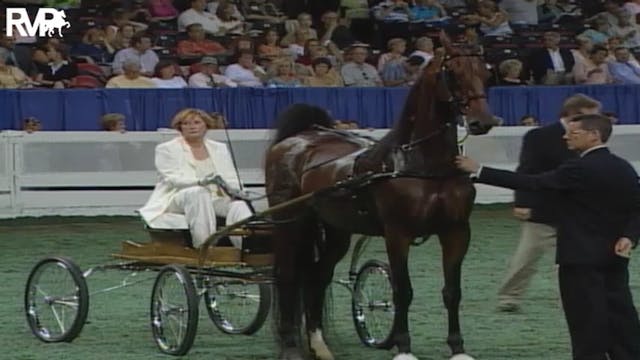 2004 World's Championship Horse Show ...