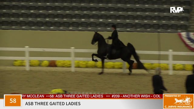 KFC 2020 - Class 58 ASB Three Gaited ...
