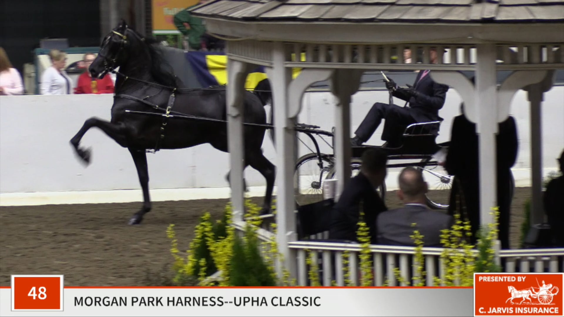 UPHA14-19 - Class 48 - Ledgefield Jagged Edge