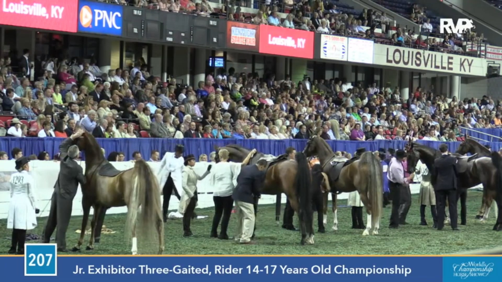 2015 WCHS - Class 207 Junior Exhibitor Three Gaited
Rider 14-17 Championship