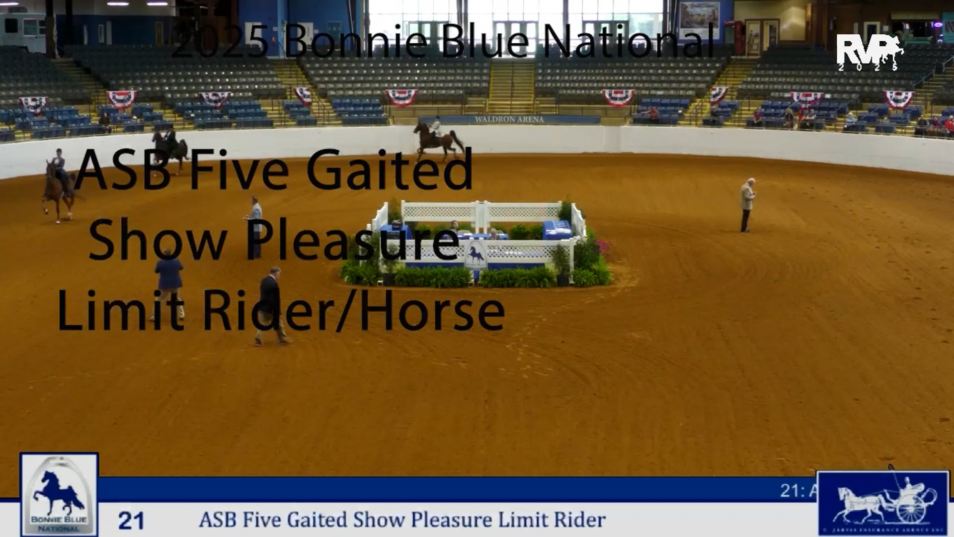 BB25 - Class 21 - ASB Five Gaited Show Pleasure Limit Rider & Horse