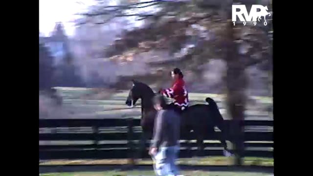 1990 Kalarama Farms - Horses Working ...