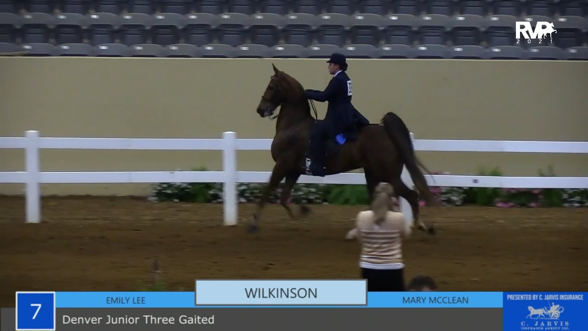 KYSP21 - Class 7 - Three Gaited Denver Junior Horse 5 Year