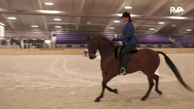 CC26 - Class 52 - Morgan Hunter Pleasure