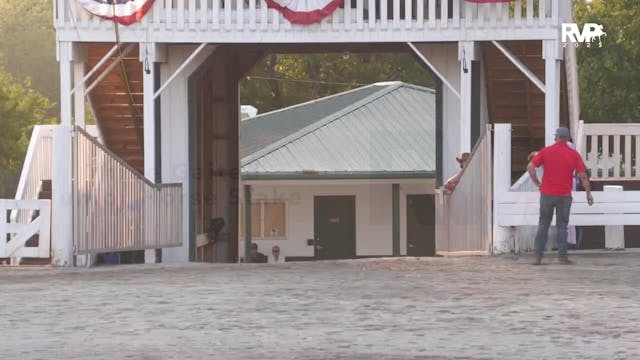 SSC25 - Class 61- Three Gaited Junior...