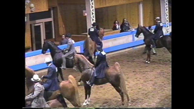 Des Moines Spring Horse Show 1995 - 5...
