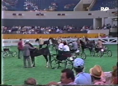 WCHS87 - American Hackney Futurity 3 ...