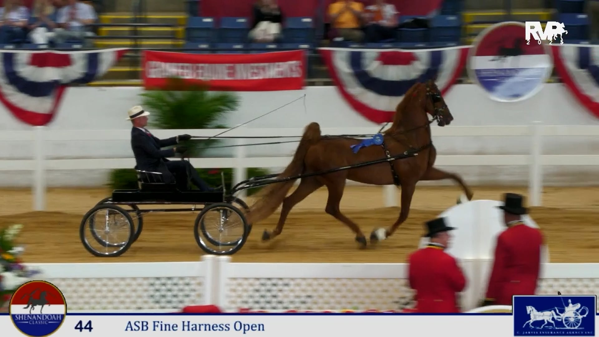 SC25 - Class 44 - Kissin' in the Rain and Matt Shiflet, Whip