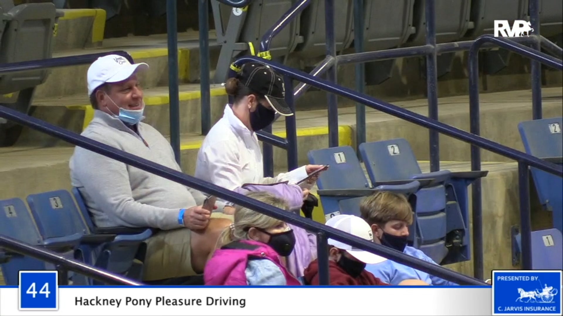 2020 BB - Class 44 Hackney Pony Pleasure Driving