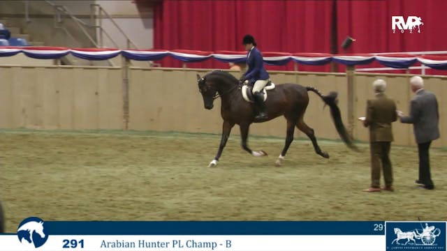 AN24 - Class 291B - Arabian Hunter Pl...