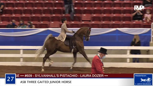 2020 BR - Class 27 ASB Three Gaited J...