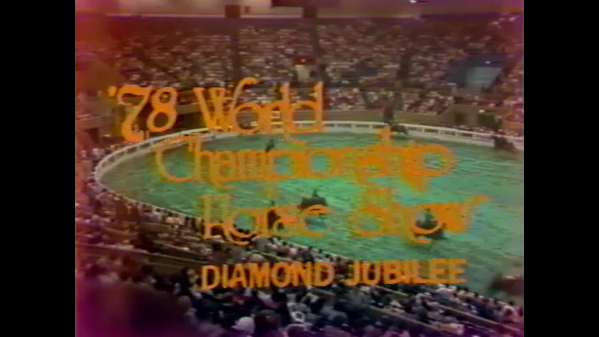 American Saddlebred Grand National - 1978 World's Championship Horse Show Highlights