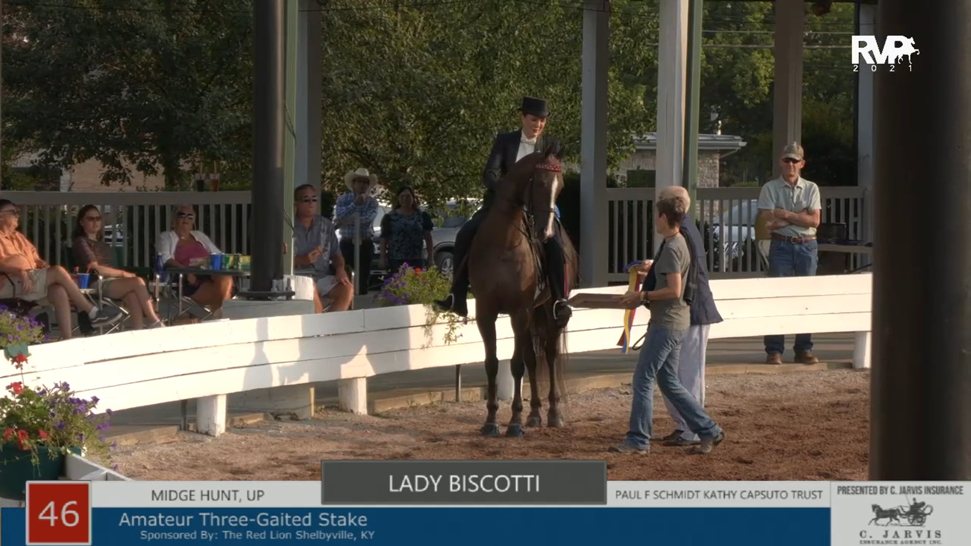 SHS21 - Class 46 - Lady Biscotti and Midge Hunt, up