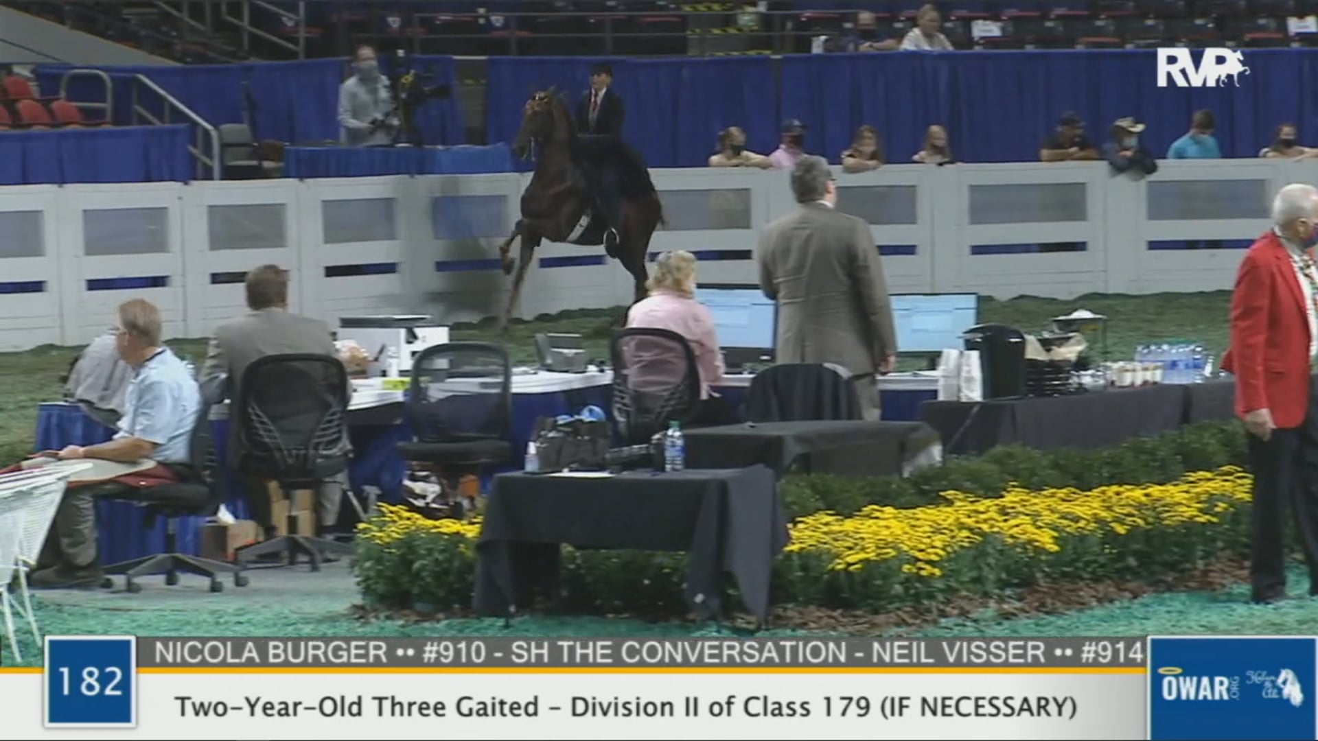 WCHS 2020 Class 182 - Two-Year-Old Three Gaited - Division II of Class 179 (IF NECESSARY)