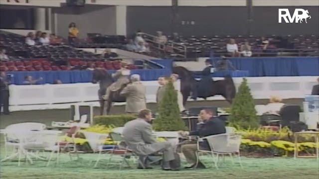 2003 WCHS Class 64 Equitation Open- R...