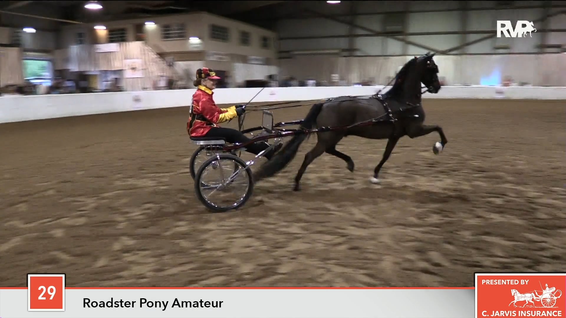 GASP18 - Class 29 - Regal's Night Shadow LF