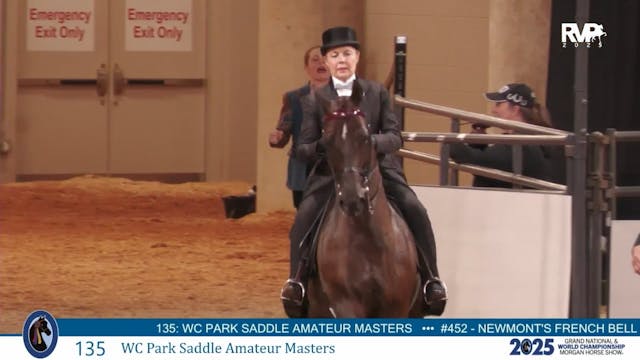 MGN25 - Class 135 - WC Park Saddle Am...