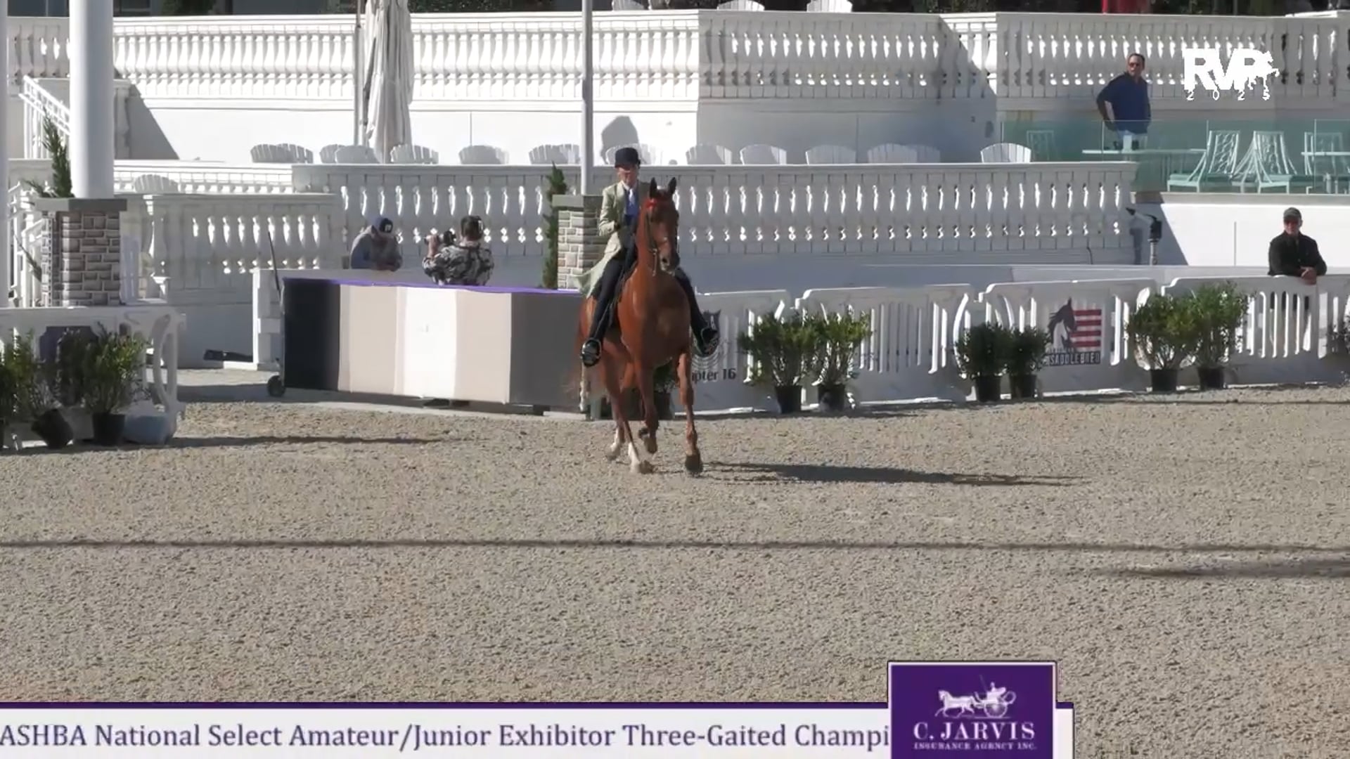 OI25 - Class 96 - ASHBA NSS Three Gaited Amateur:Junior Exhibitor Championship
