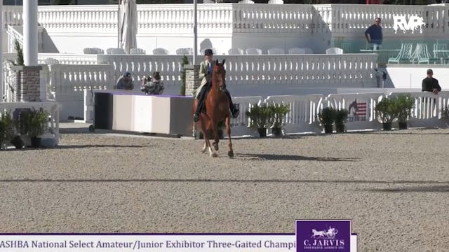 OI25 - Class 96 - ASHBA NSS Three Gai...