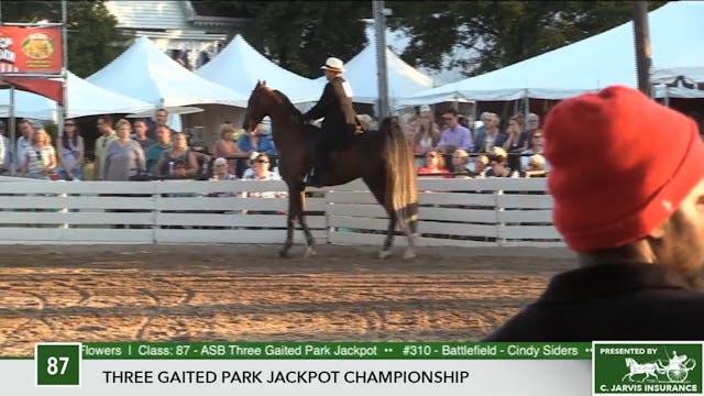 2017 RC - Class 87 Three Gaited Park ...