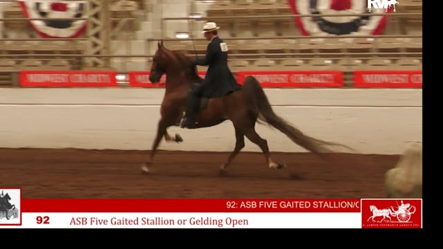 MW24 - Class 92 - ASB Five Gaited Sta...