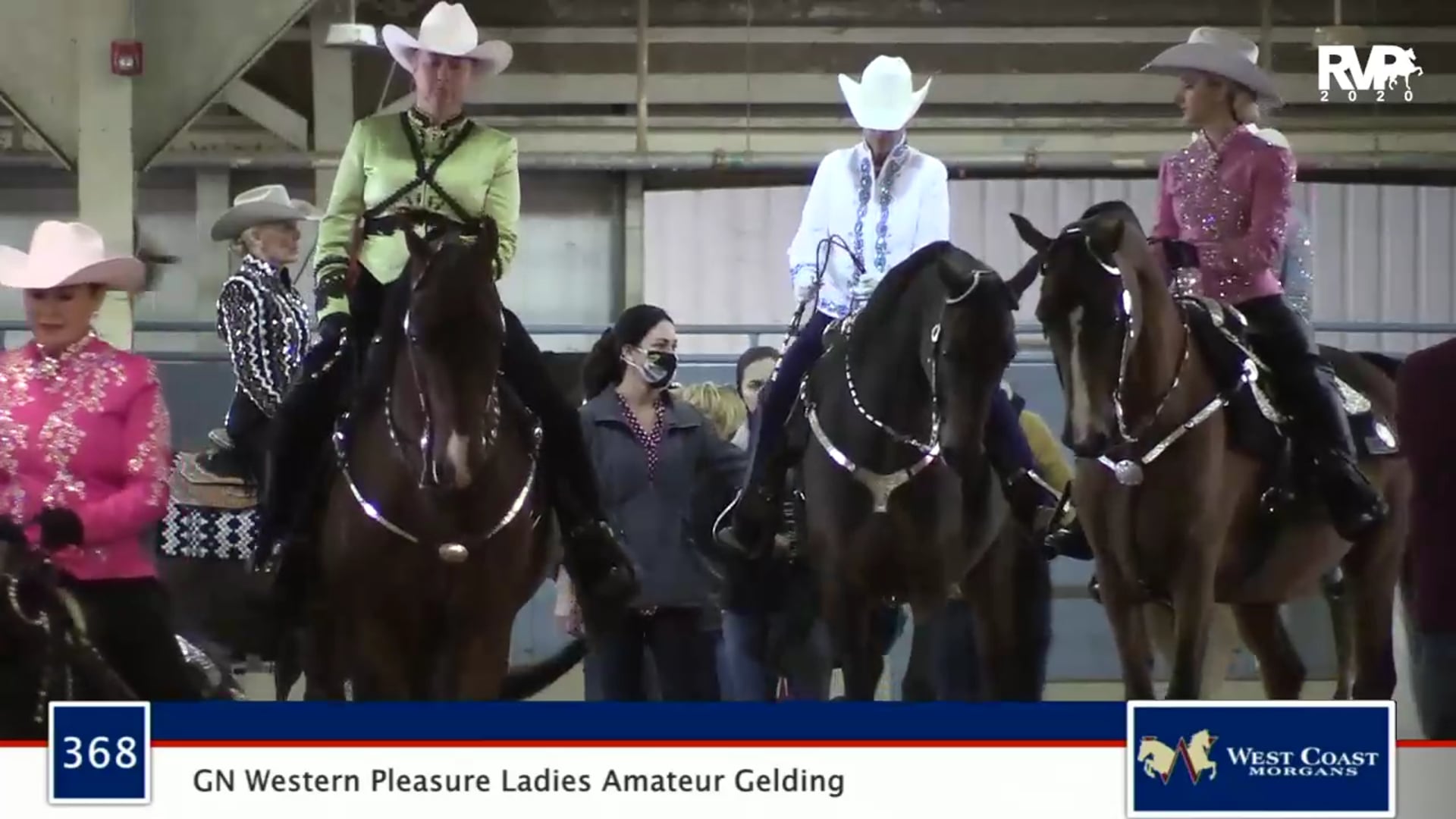 2020 MGN - 368 GN Western Pleasure Ladies Amateur Gelding - Part 1 of 2