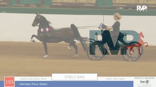 NCSC22 - Class 103 -  Steely Dan and ...
