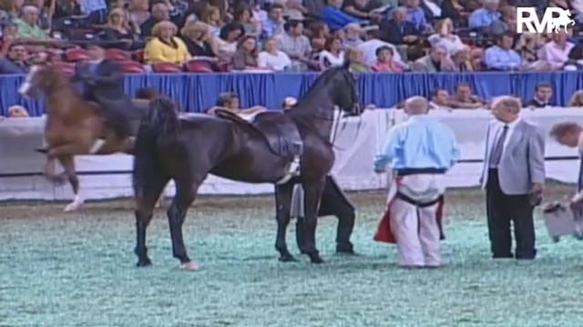 2009 World's Championship Horse Show ...