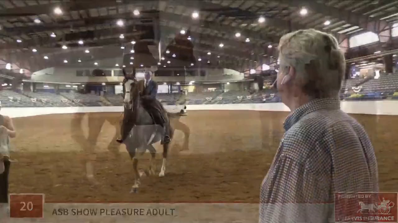 BB19 - Class 20 - Fox Grape's Dandy Lion