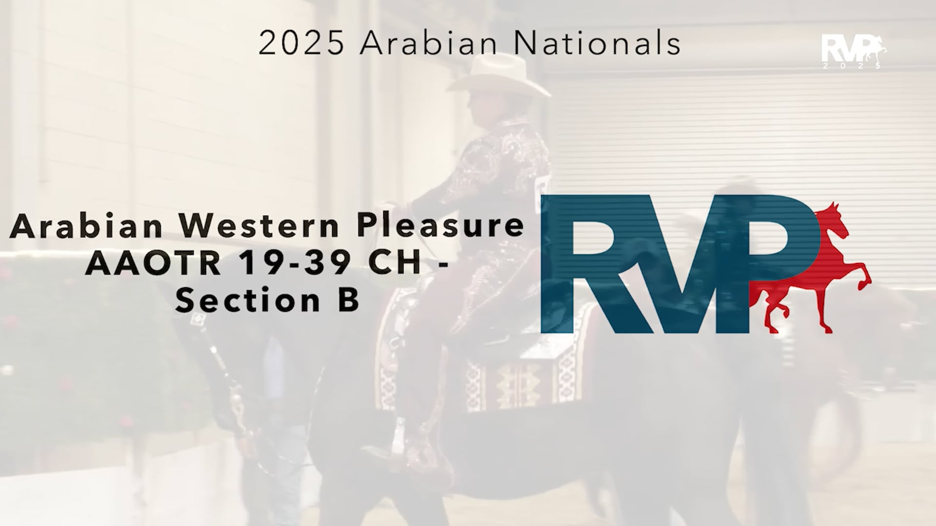 AN25 - Class 2123b - Arabian Western Pleasure AAOTR 19-39 CH - Section B