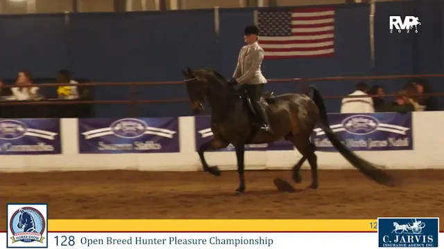 MC26 - Class 128 - Open Breed Hunter ...