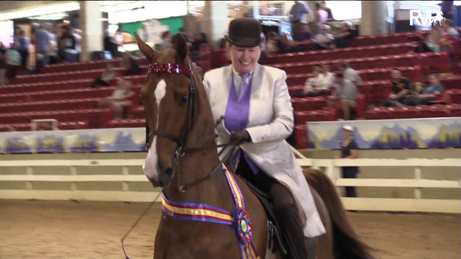 ASC19 - Class 98 - CH Warriior's Carumba