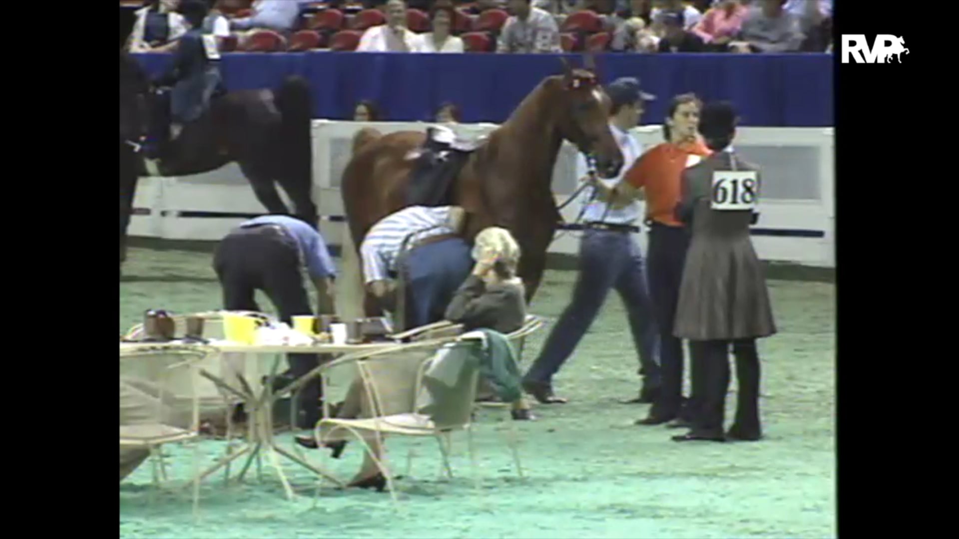 1997 WCHS - Class 193 ASB Three Gaited Junior Exhibitor
Country Pleasure Championship