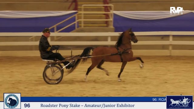 ASF25 - Class 96 - Roadster Pony Stak...