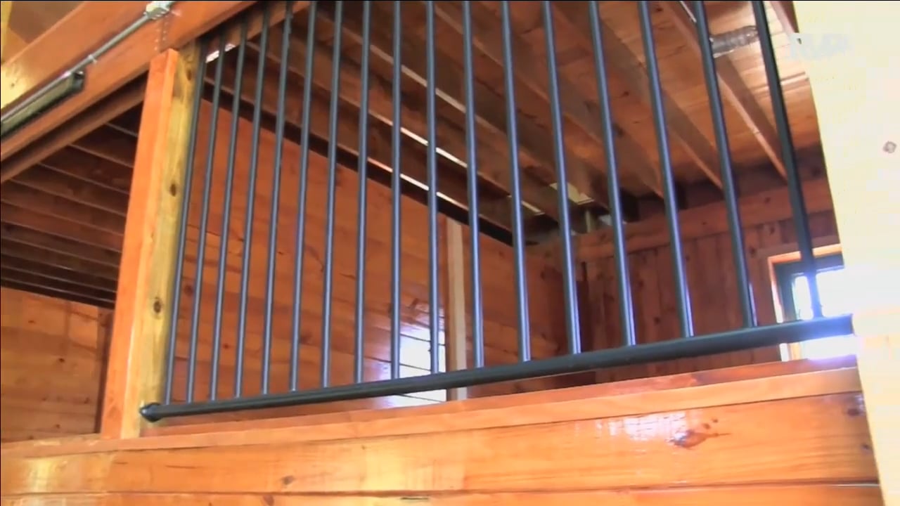 BB16 - Friday Evening