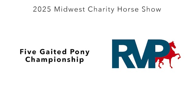 MW25 - Class 186 - Five Gaited Pony C...
