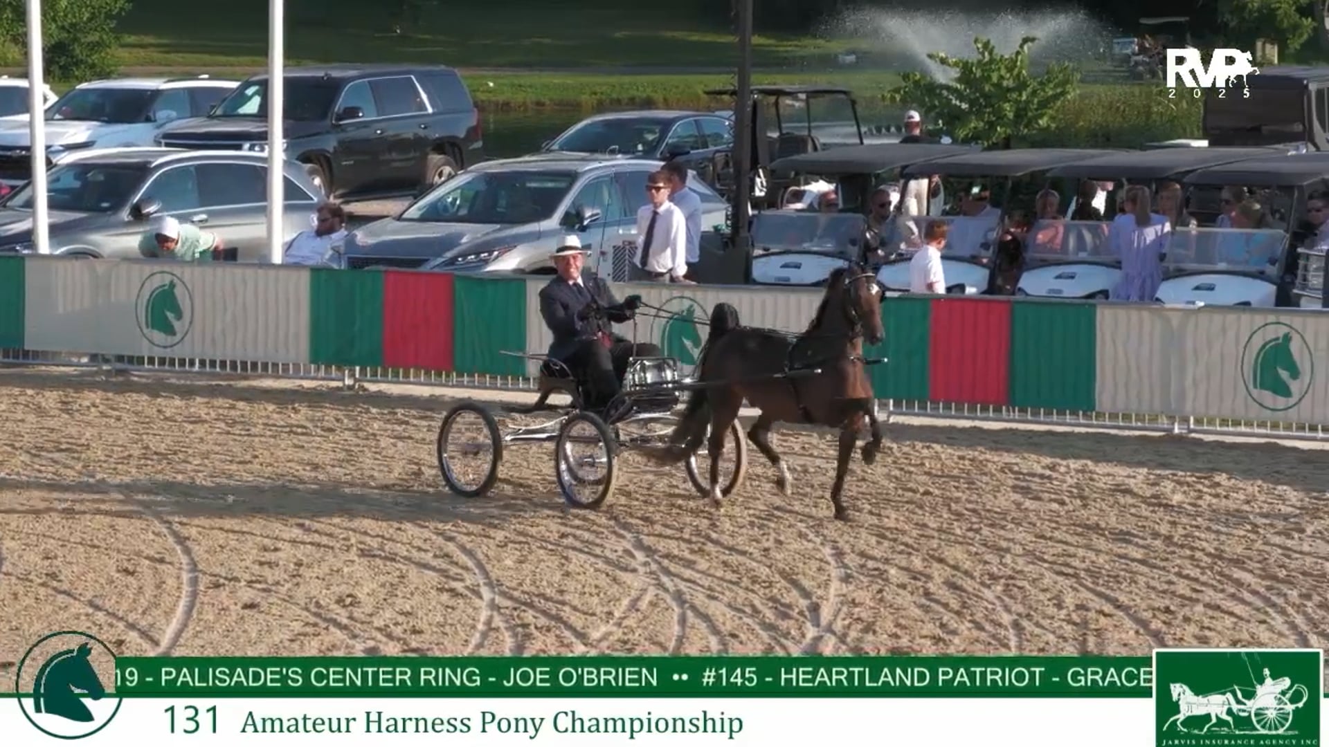 LJL25 - Class 131 - Amateur Harness Pony Championship