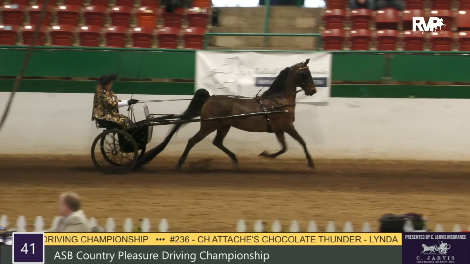 RSP21 - Class 41 - ASB Country Pleasure Driving
Championship