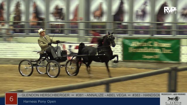 AAC22 - Class 6 - Harness Pony Open
