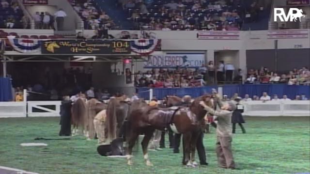 2007 WCHS Class 238 Amateur Five Gait...