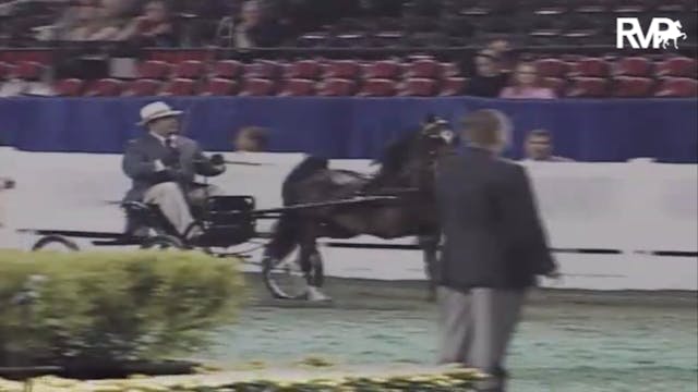 2007 WCHS Class 82 Four Year Old Harn...