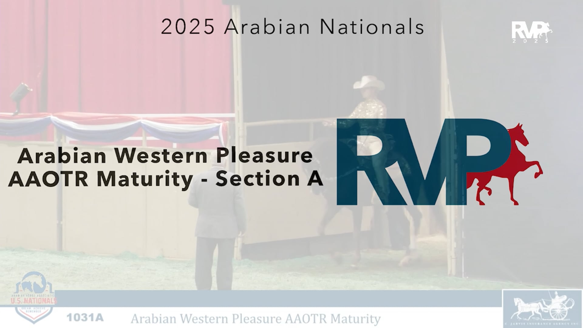 AN25 - Class 1031a - Arabian Western Pleasure AAOTR Maturity - Section A