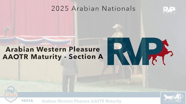 AN25 - Class 1031a - Arabian Western ...