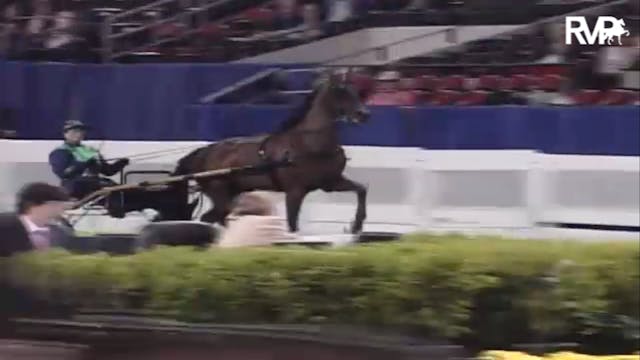 2007 WCHS Class 128 Ladies' Amateur R...