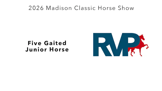 MC26 - Class 88 - Five Gaited Junior ...